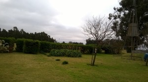 quinta