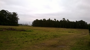 quinta1